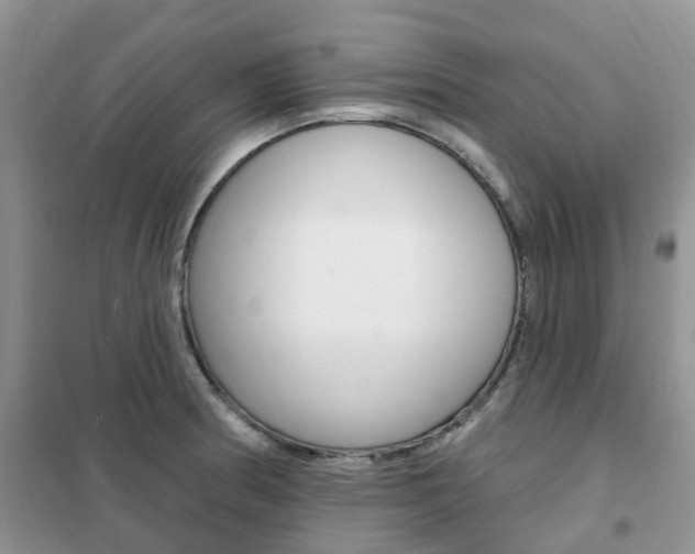 X0000102351186200808010929