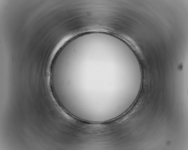 X0000102351188200808010929
