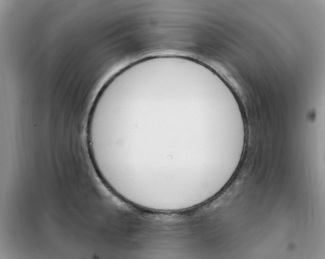 X0000102351189200808010929