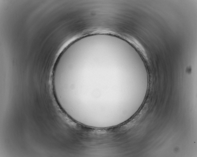 X0000102351190200808010929