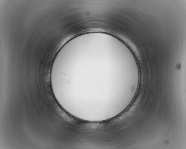 X0000102351193200808010928