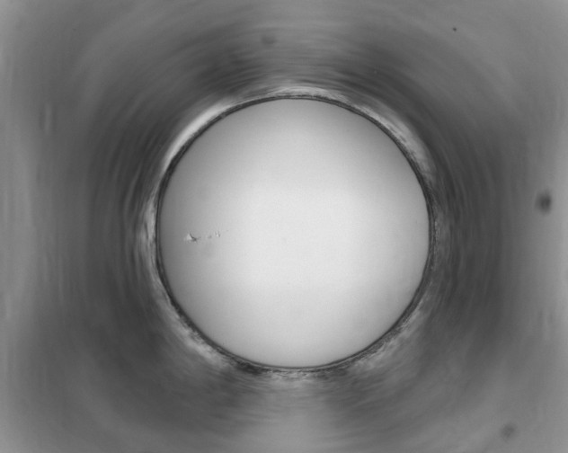 X0000102351198200808010928