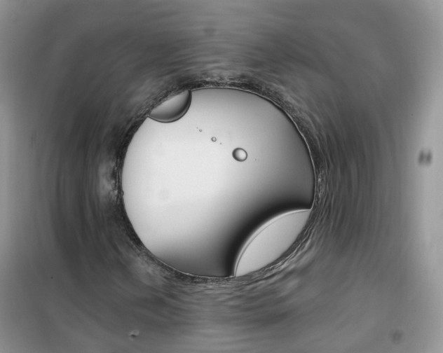 X0000102351202200808010928