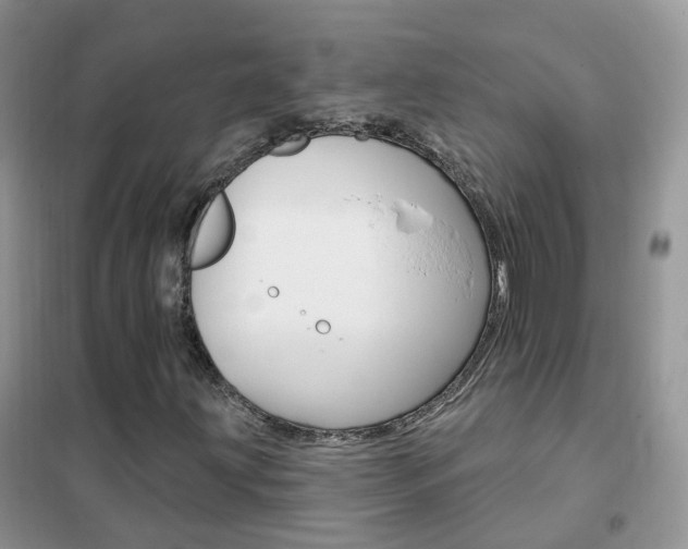 X0000102351203200808010928