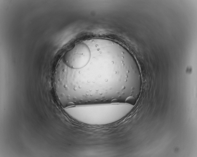 X0000102351205200808010928