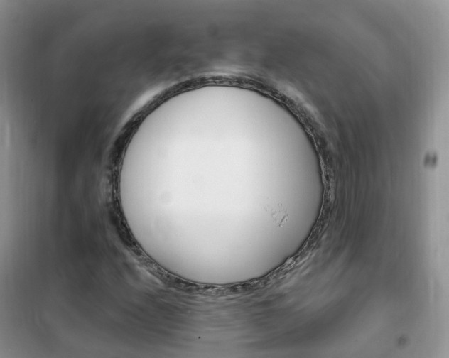 X0000102351208200808010928