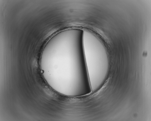 X0000102351209200808010928