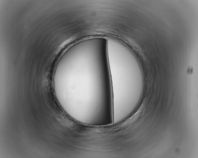 X0000102351210200808010928