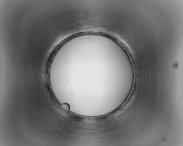 X0000102351215200808010928
