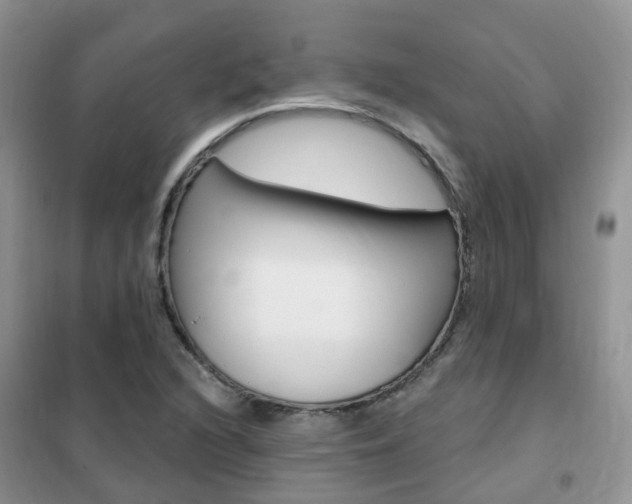 X0000102351216200808010928