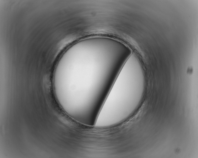 X0000102351218200808010928