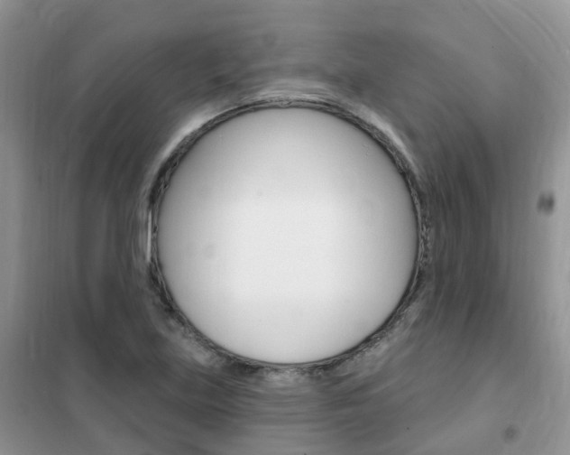 X0000102351219200808010928