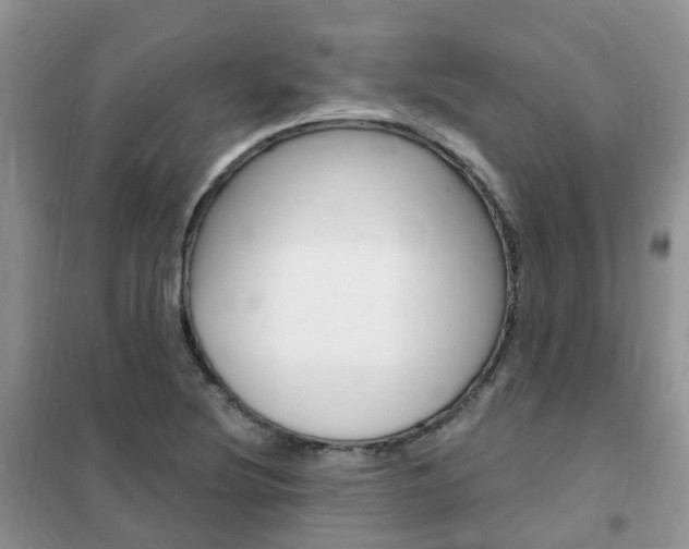 X0000102351220200808010928