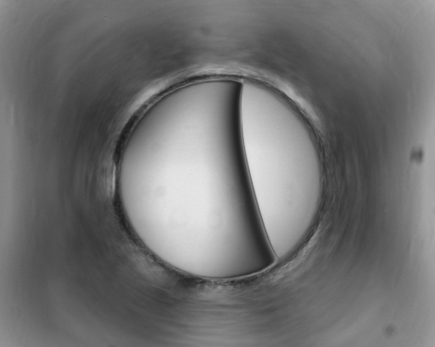 X0000102351221200808010928