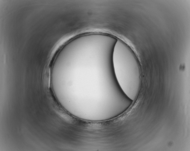 X0000102351223200808010928