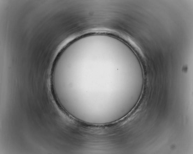 X0000102351229200808010928