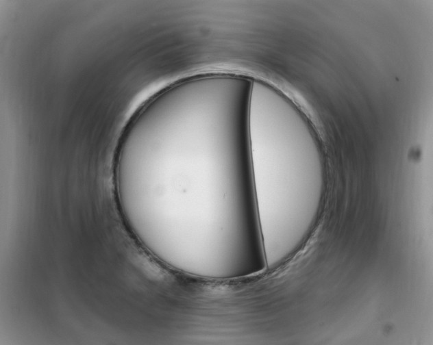 X0000102351230200808010928