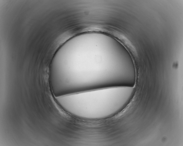 X0000102351233200808010928