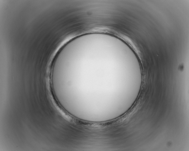 X0000102351235200808010928
