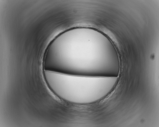 X0000102351237200808010928