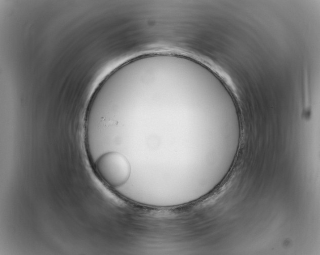 X0000102351239200808010928