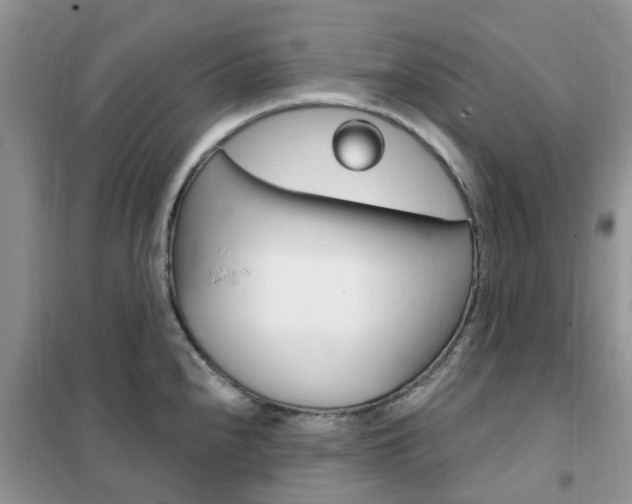 X0000102351240200808010928