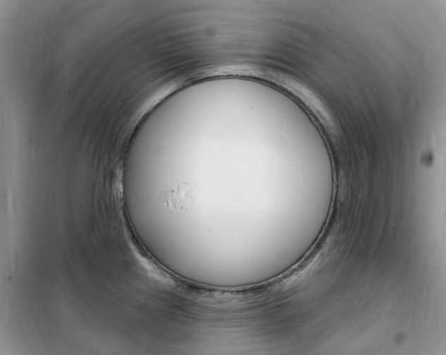 X0000102351241200808010928