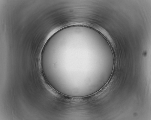 X0000102351242200808010928