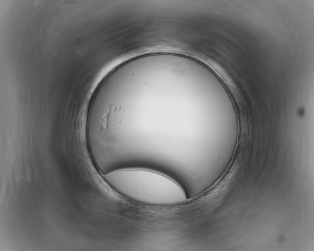 X0000102351246200808010928