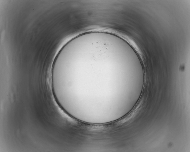 X0000102351247200808010928