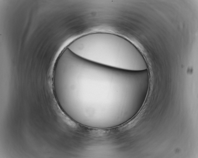 X0000102351248200808010928
