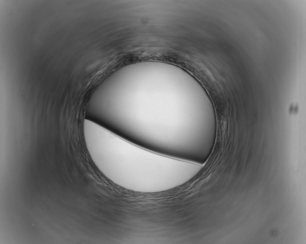 X0000102351250200808010928