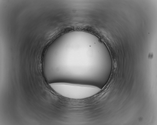 X0000102351252200808010928