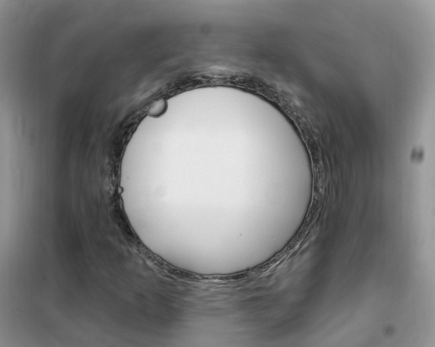 X0000102351253200808010928