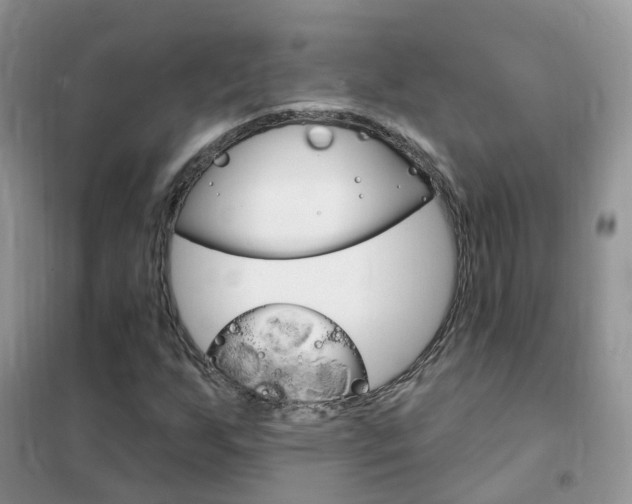X0000102351255200808010928