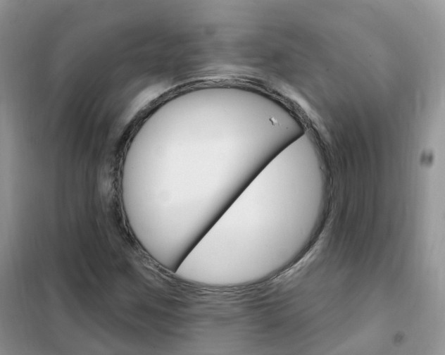 X0000102351259200808010928