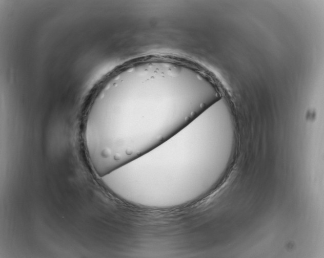 X0000102351263200808010927