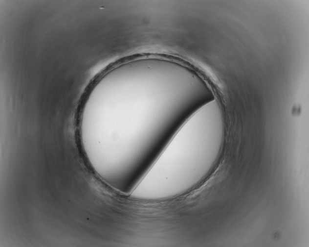 X0000102351264200808010927