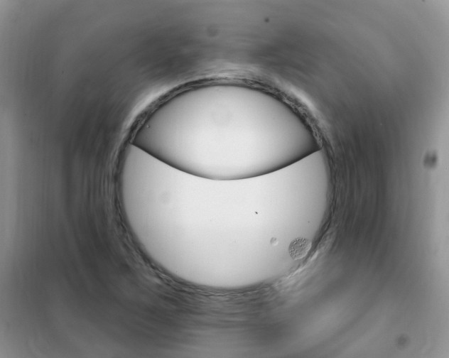 X0000102351267200808010927