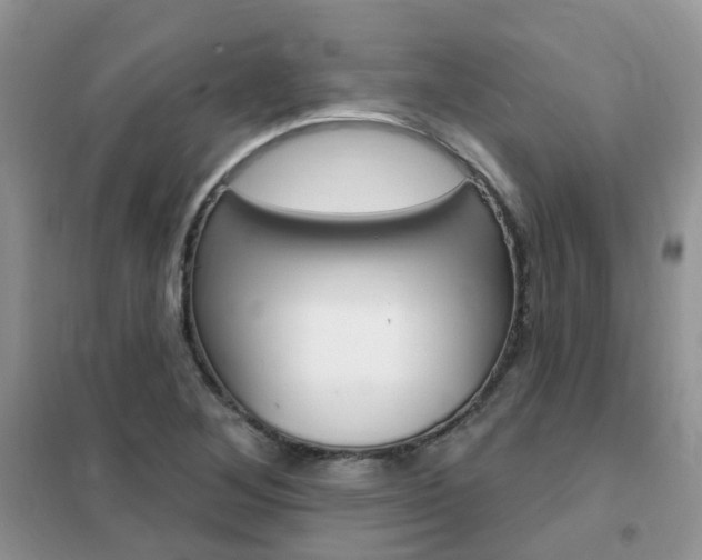 X0000102351268200808010927