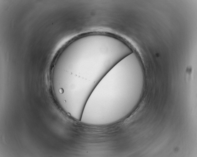 X0000102351271200808010927