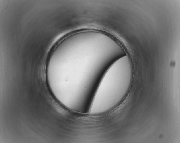 X0000102351272200808010927