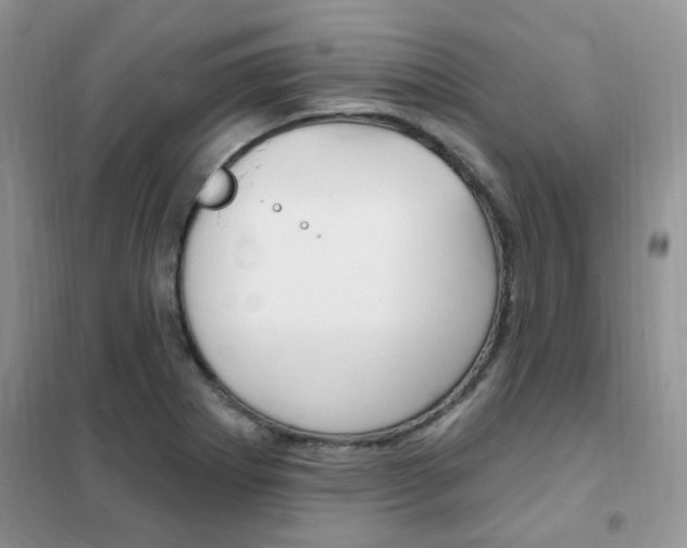 X0000102351273200808010927