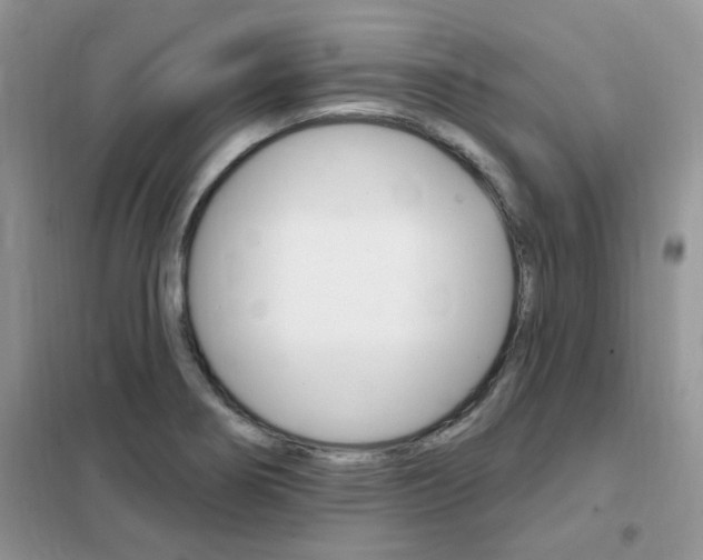 X0000102351274200808010927