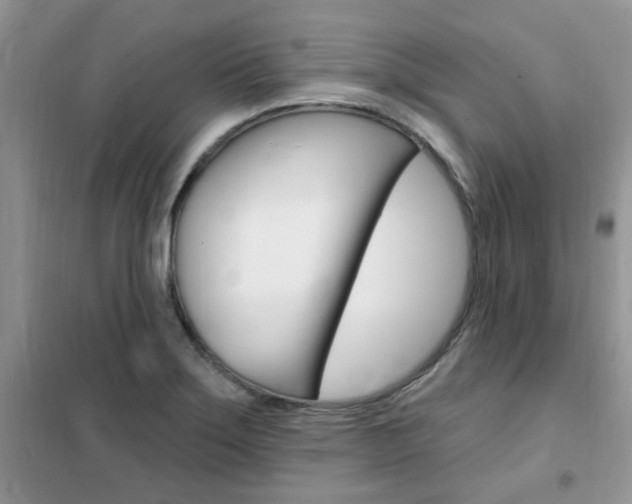 X0000102351275200808010927