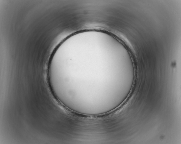 X0000102351277200808010927