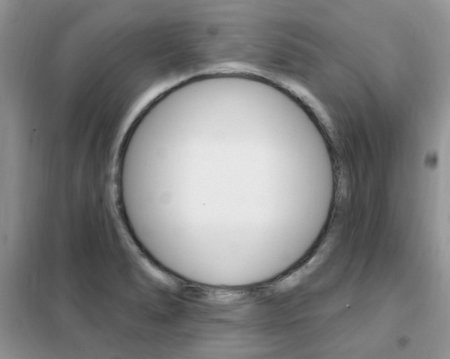 X0000102351278200808010927