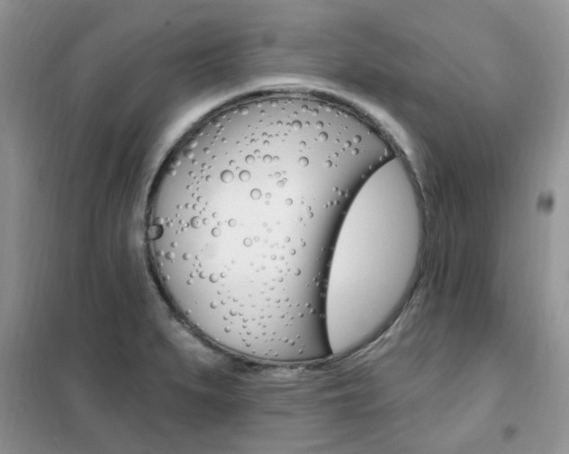 X0000102351279200808010927