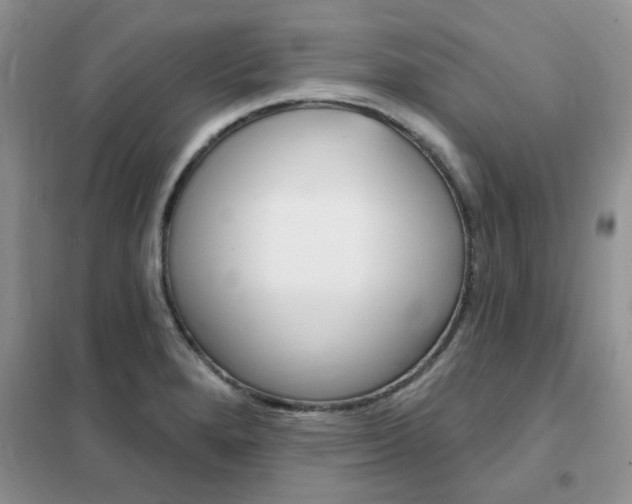 X0000102351280200808010927