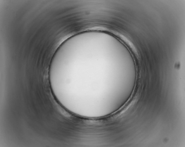 X0000102351281200808010927
